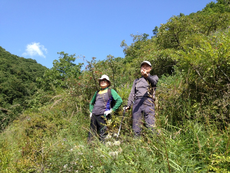 点击查看原图大小