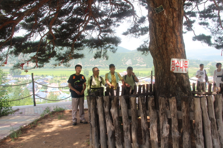 点击查看原图大小