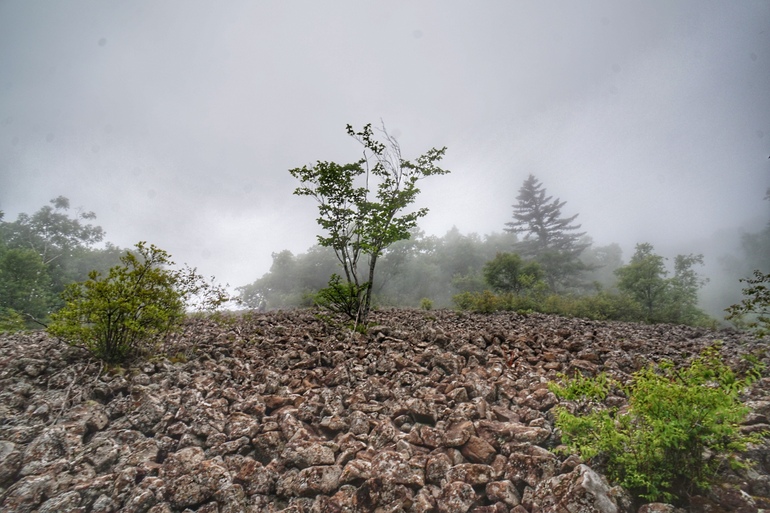 点击查看原图大小