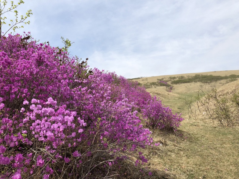 点击查看原图大小