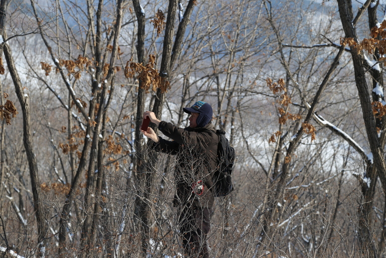 点击查看原图大小
