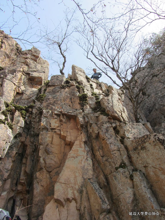 点击查看原图大小