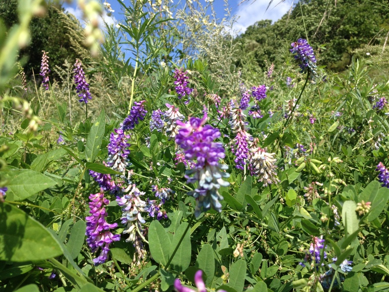 点击查看原图大小