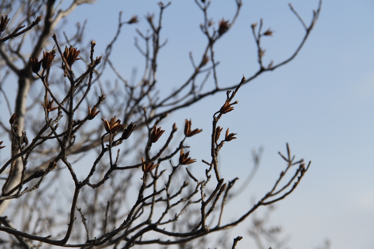 点击查看原图大小