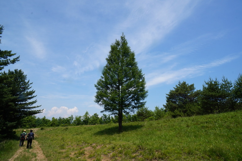 点击查看原图大小