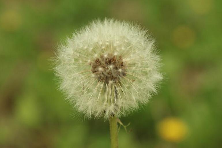 点击查看原图大小