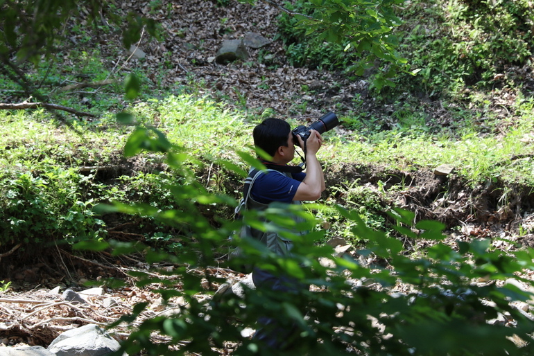 点击查看原图大小