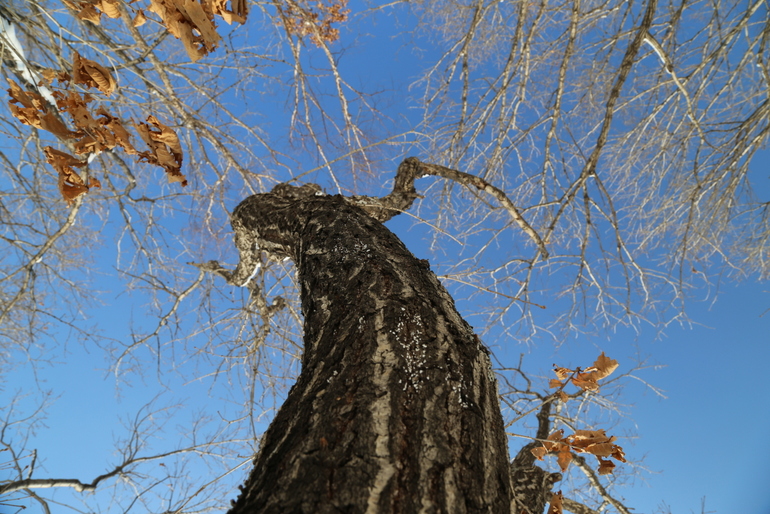 点击查看原图大小