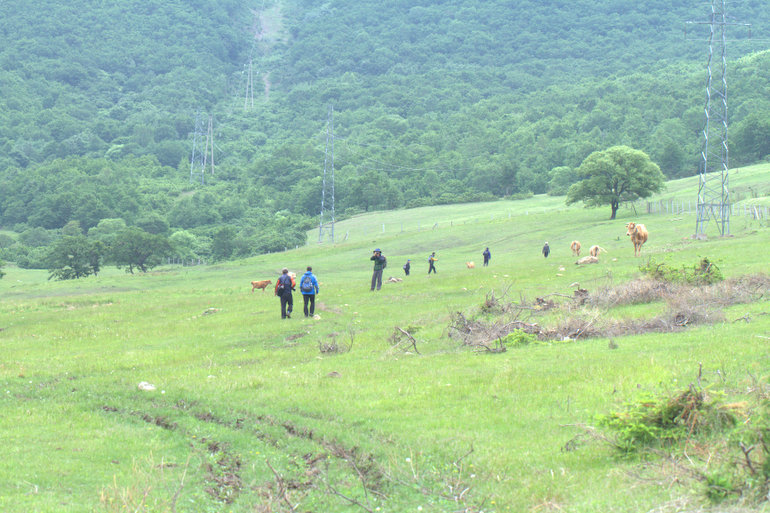 点击查看原图大小