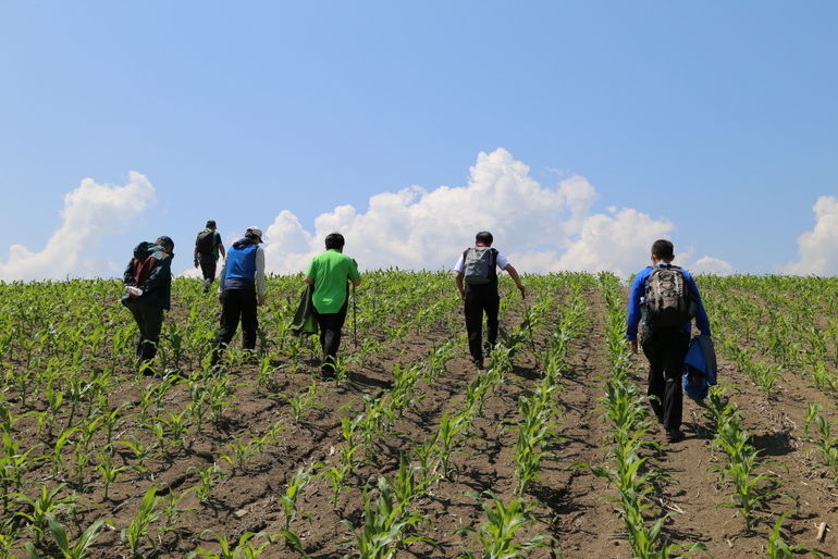 点击查看原图大小