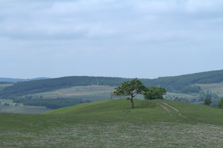 点击查看原图大小