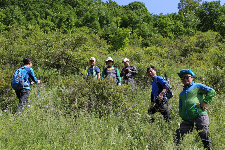 点击查看原图大小