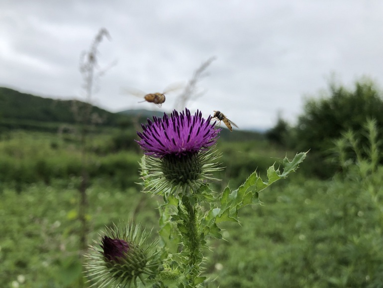 点击查看原图大小