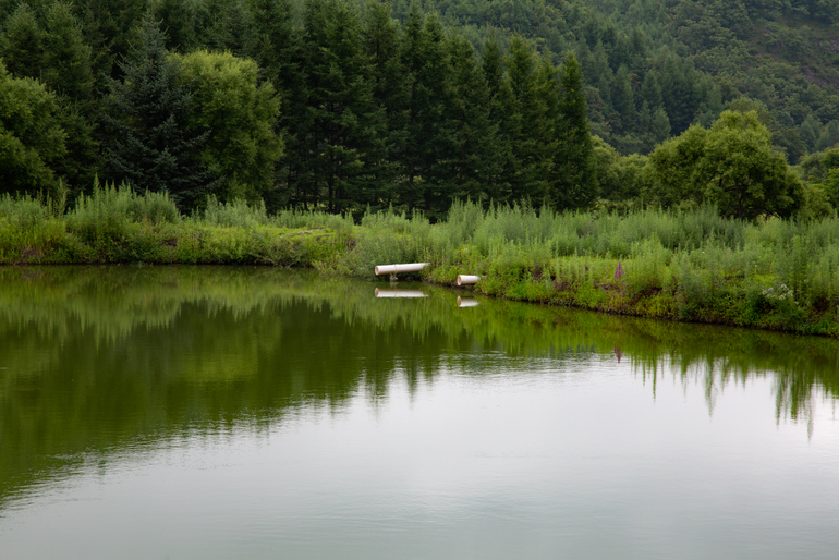 点击查看原图大小