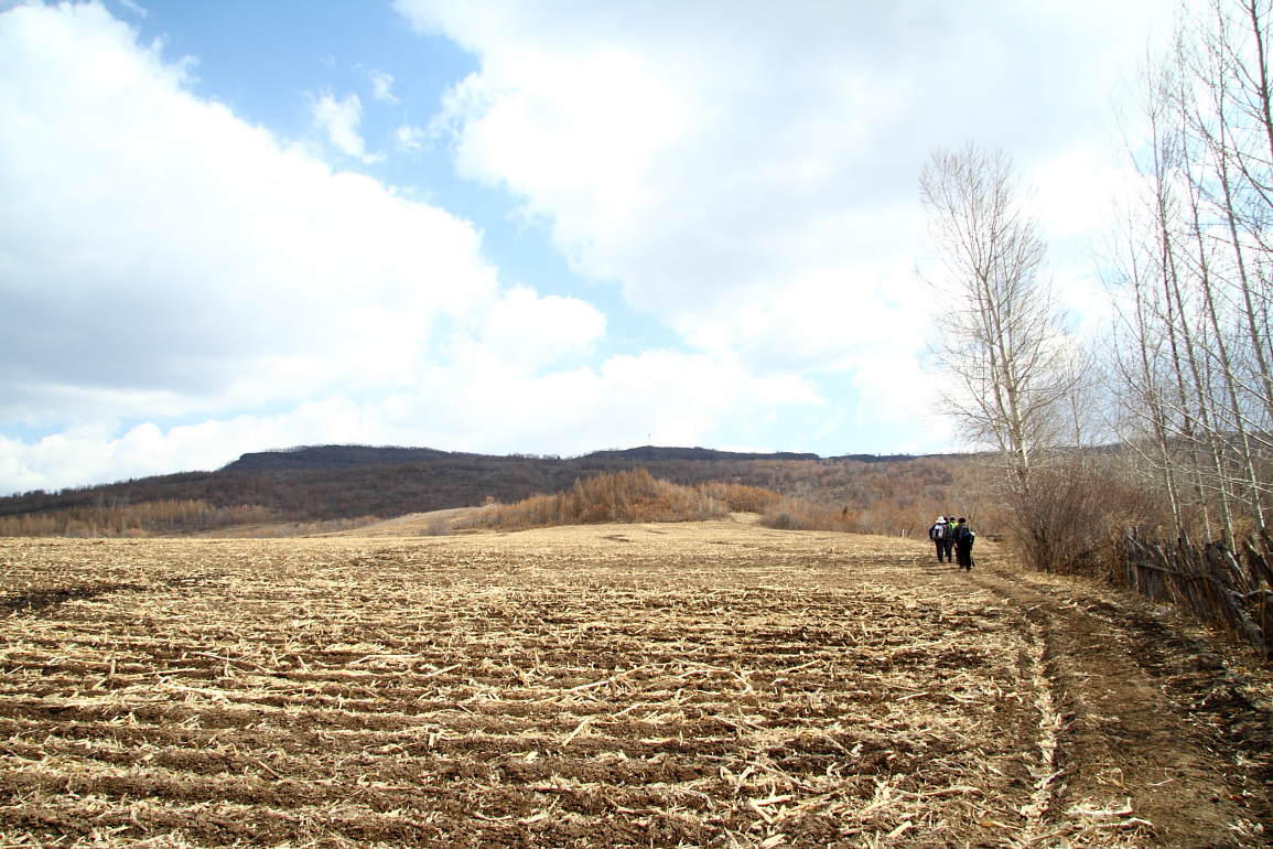 点击查看原图大小