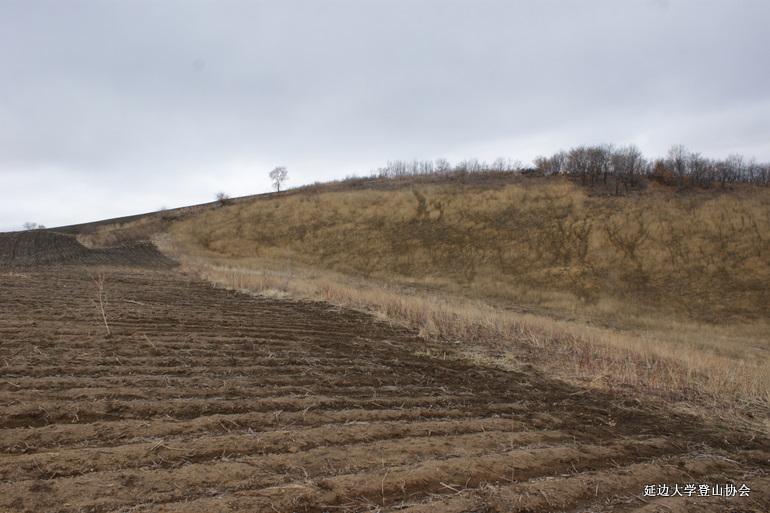 点击查看原图大小
