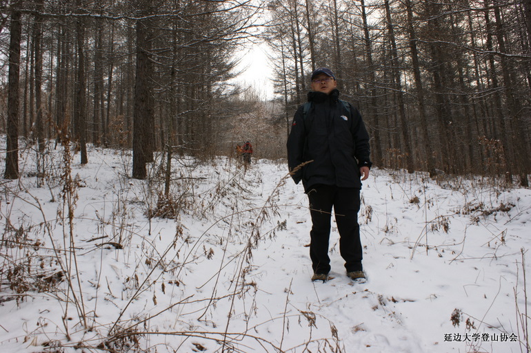 点击查看原图大小