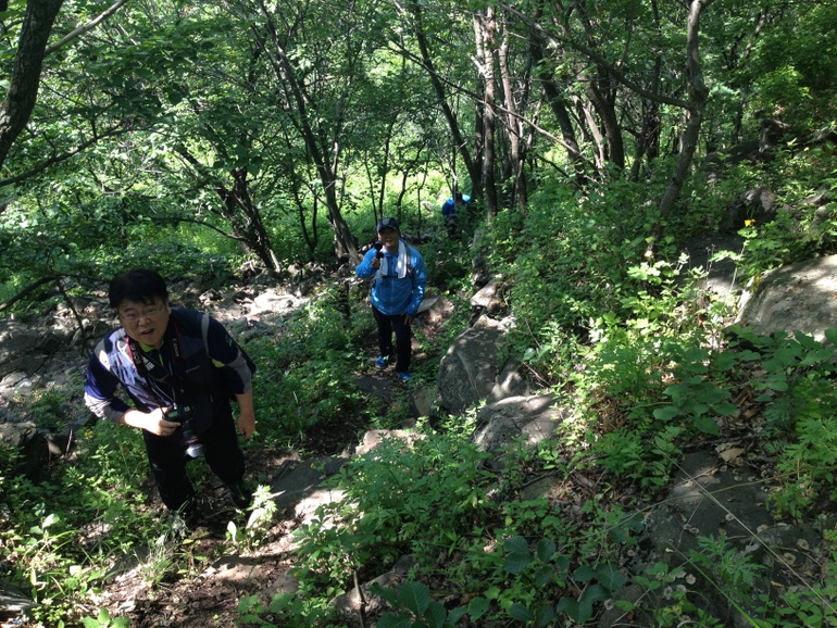 点击查看原图大小