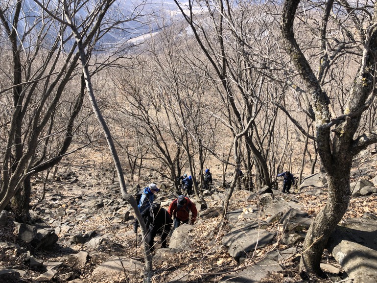 点击查看原图大小