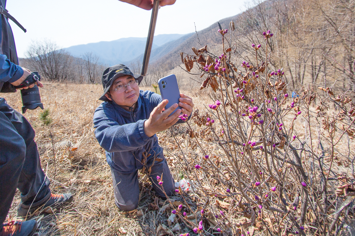 点击查看原图大小