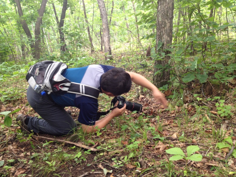 点击查看原图大小