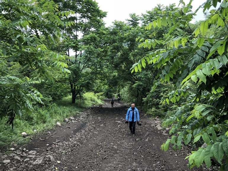 点击查看原图大小