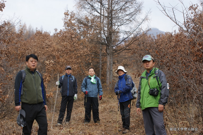 点击查看原图大小