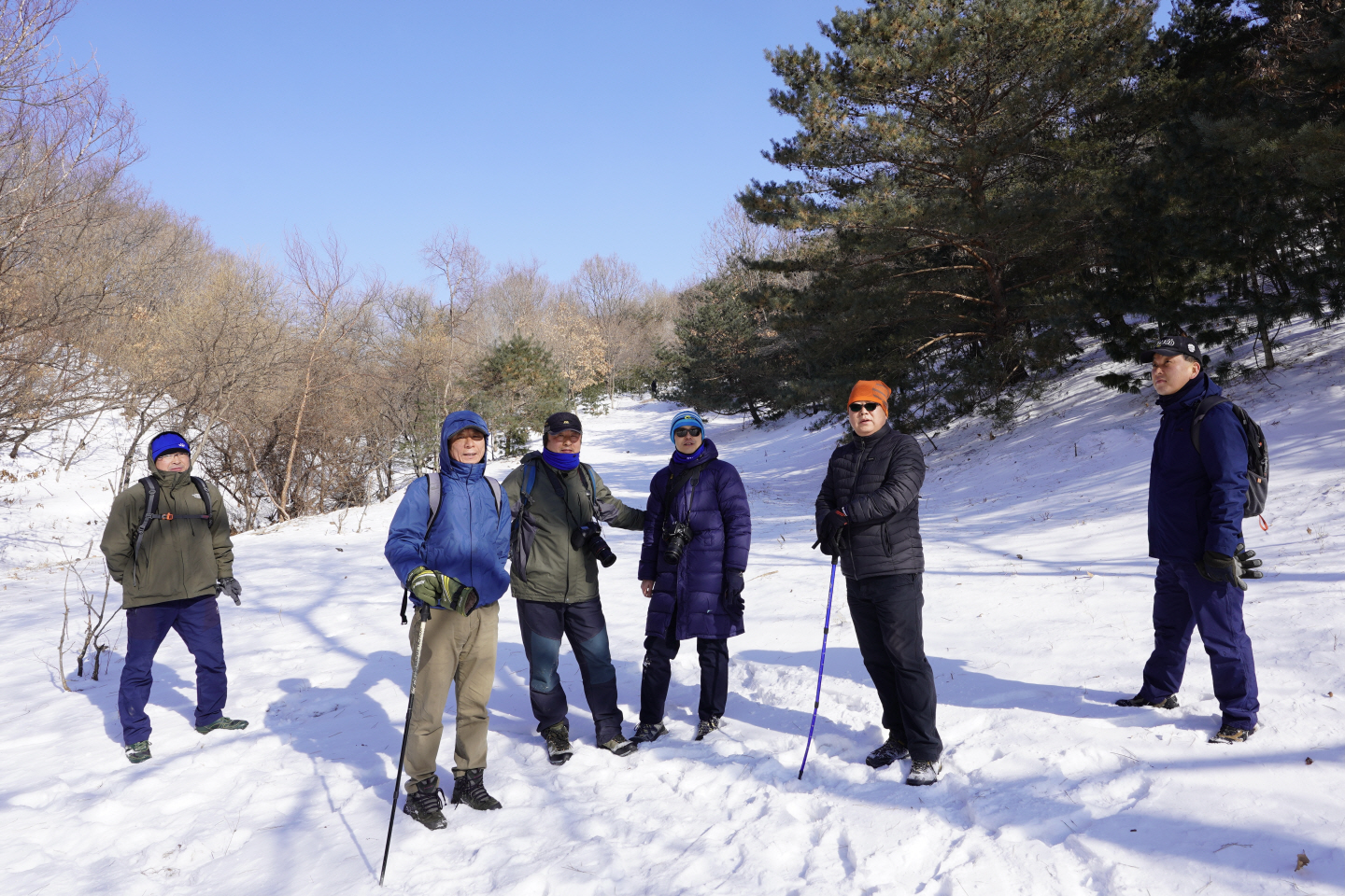 点击查看原图大小