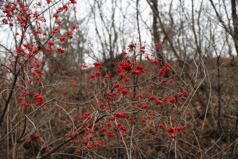 点击查看原图大小