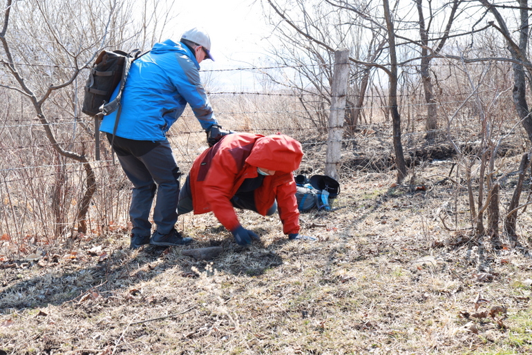 点击查看原图大小