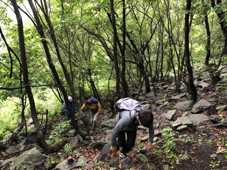 点击查看原图大小