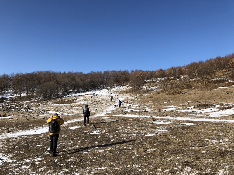 点击查看原图大小