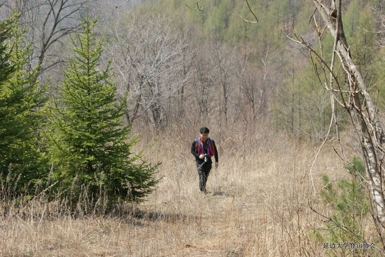 点击查看原图大小