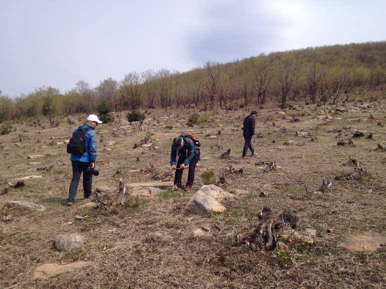 点击查看原图大小