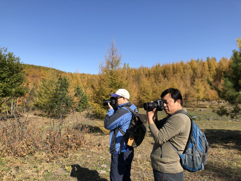 点击查看原图大小