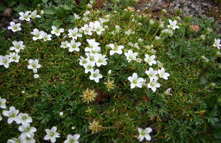 点击查看原图大小