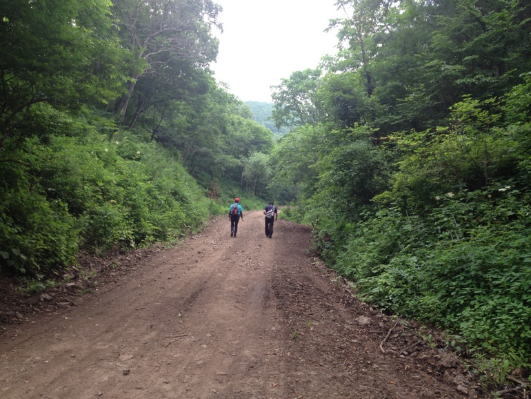 点击查看原图大小