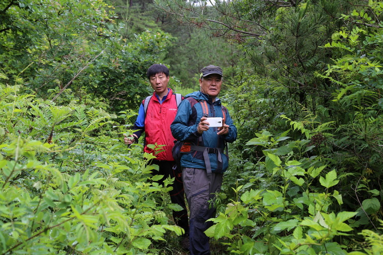 点击查看原图大小