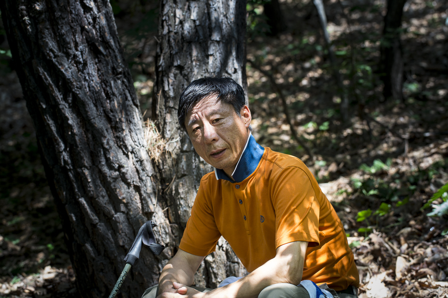 点击查看原图大小