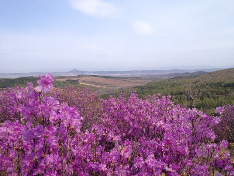 点击查看原图大小