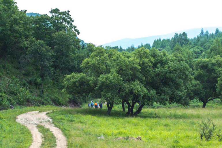 点击查看原图大小