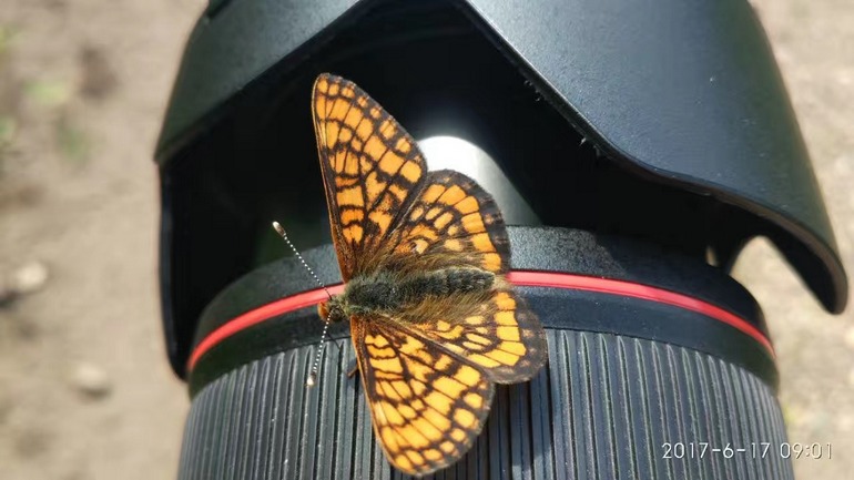 点击查看原图大小