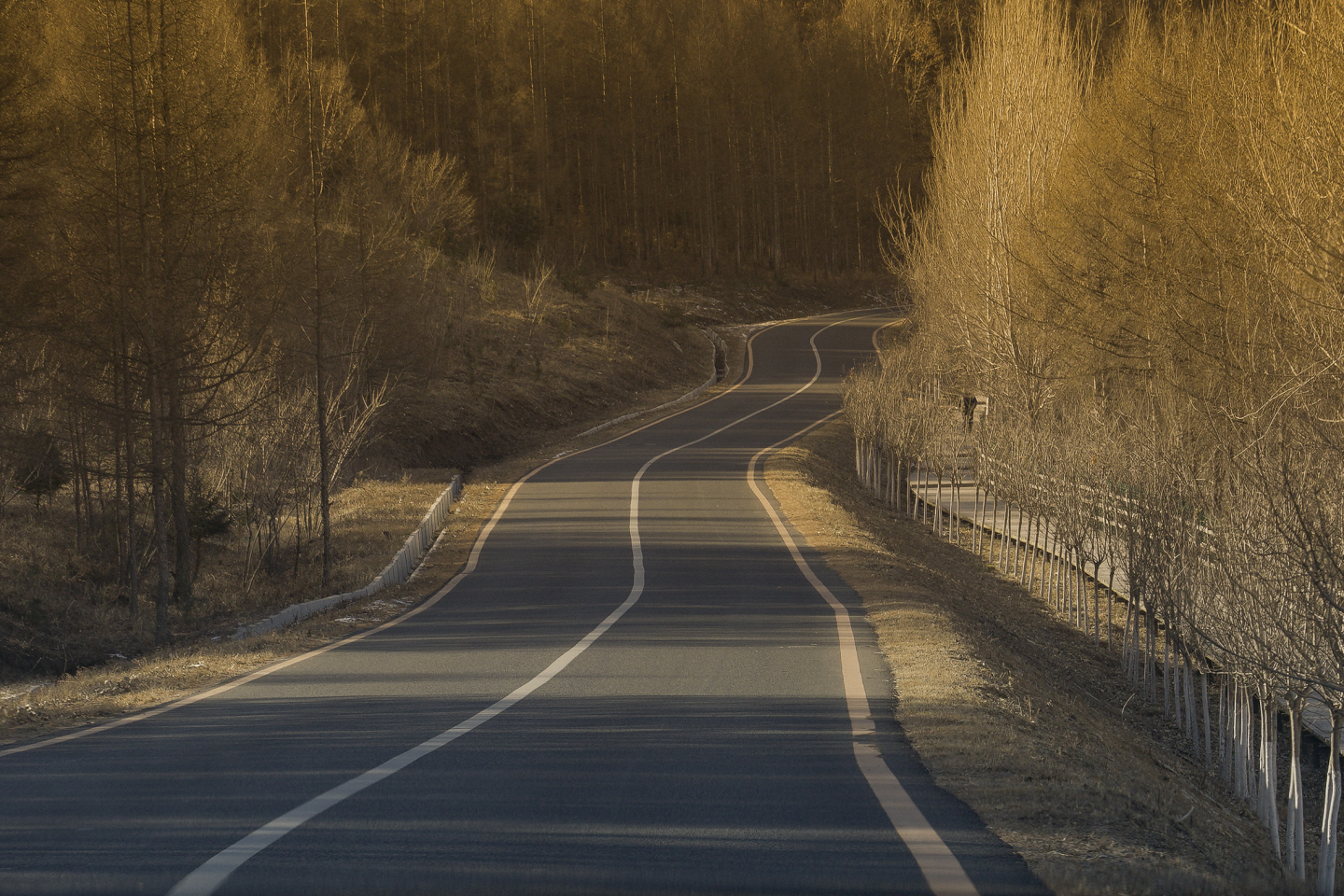 点击查看原图大小