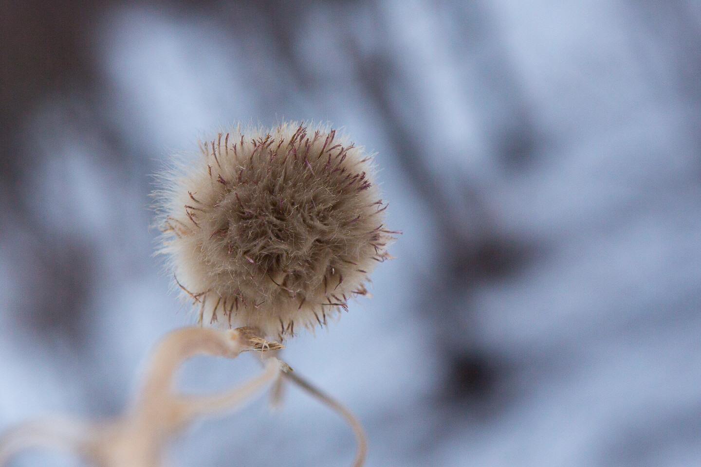 点击查看原图大小