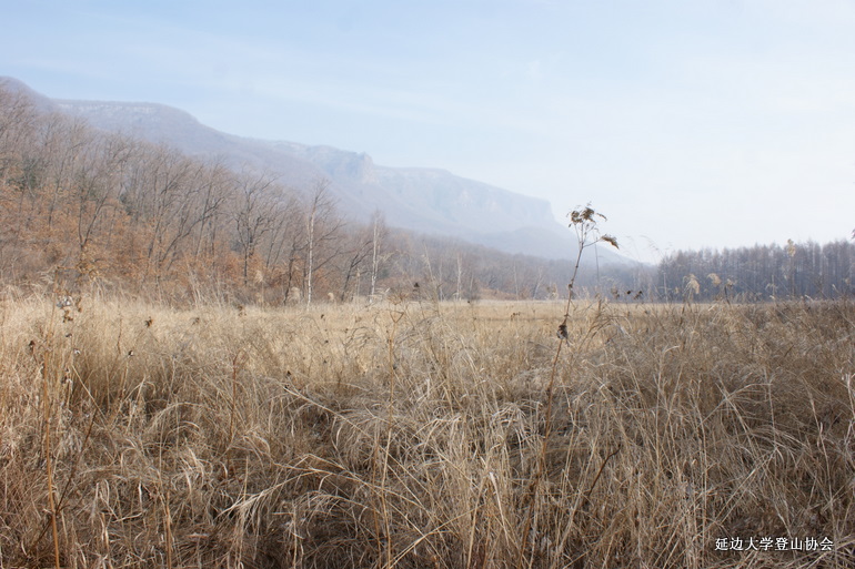 点击查看原图大小