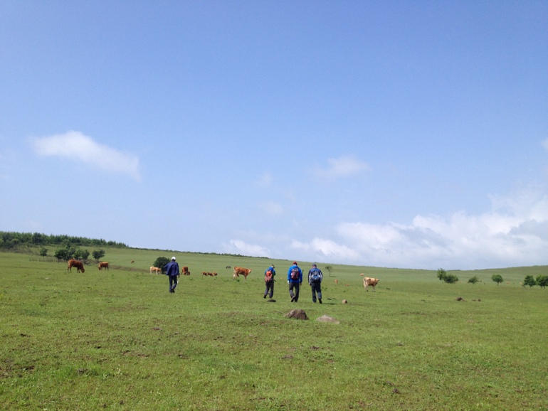 点击查看原图大小