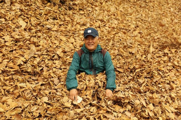 点击查看原图大小