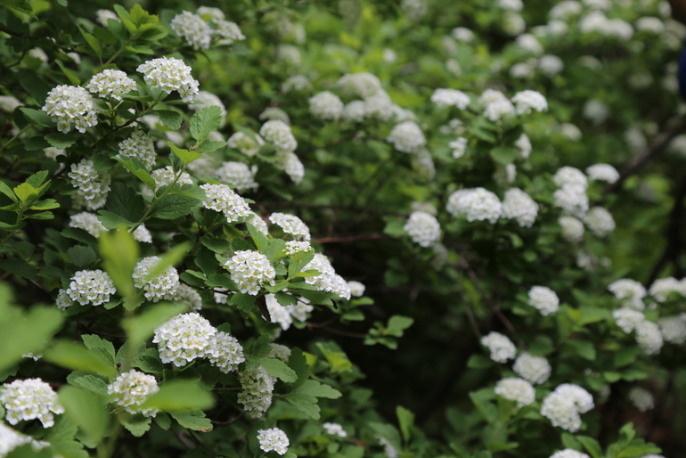 点击查看原图大小