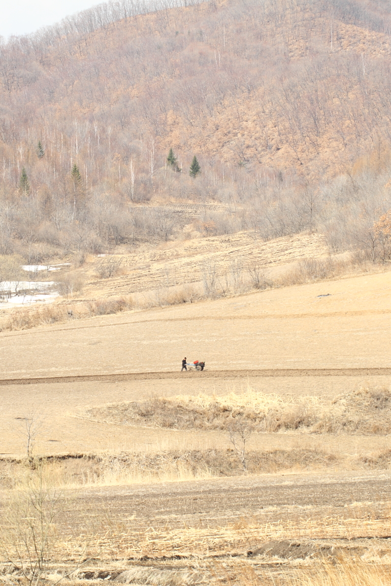 点击查看原图大小