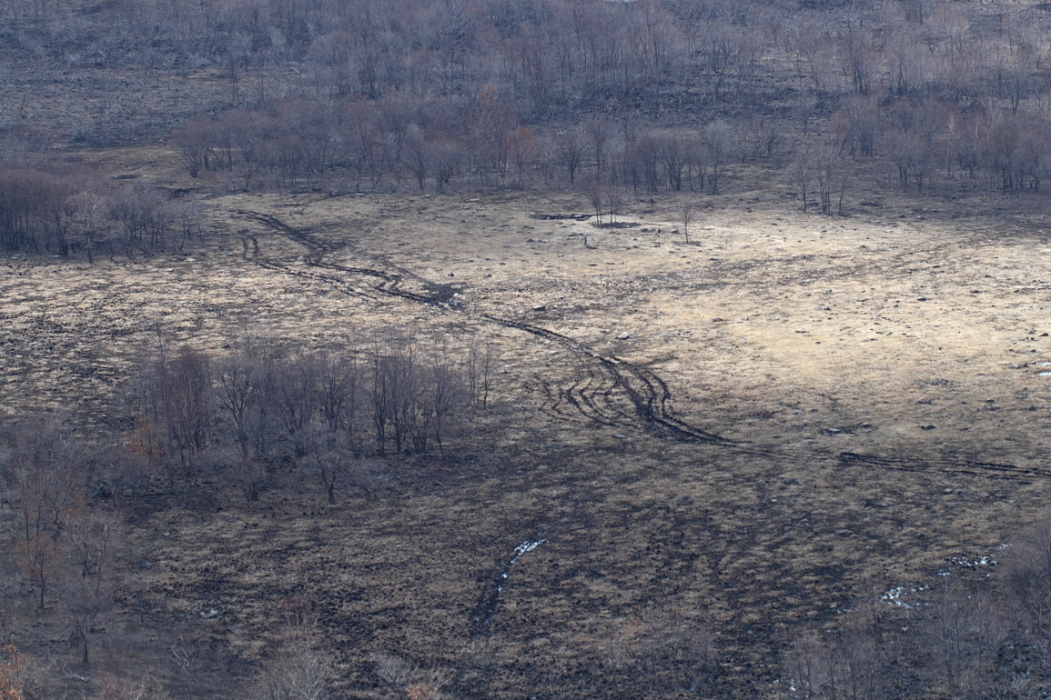 点击查看原图大小